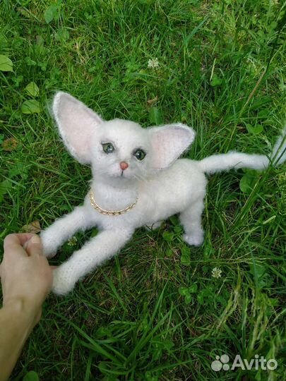 Котенок сфинкса браш