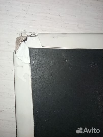 Фотопортрет Пушкин А. С. под палех Музфонд