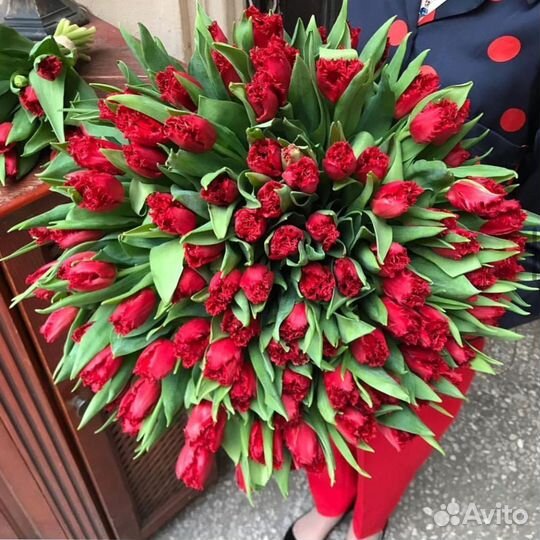 Тюльпаны цветы доставка