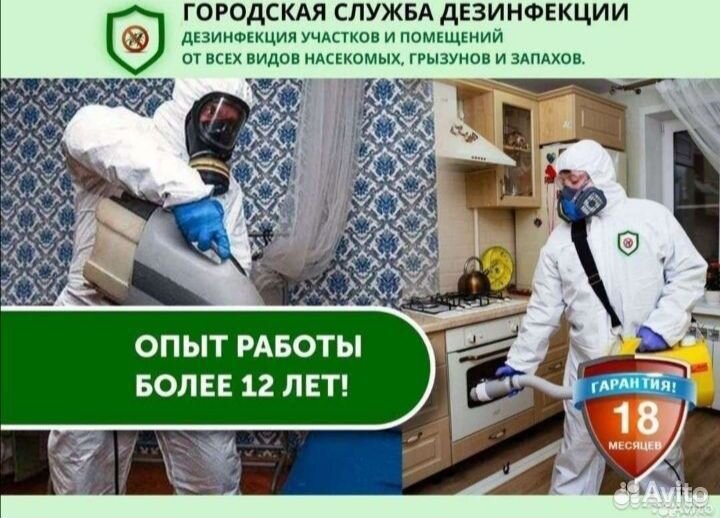 Уничтожение тараканов клопов мышей клещей плесени