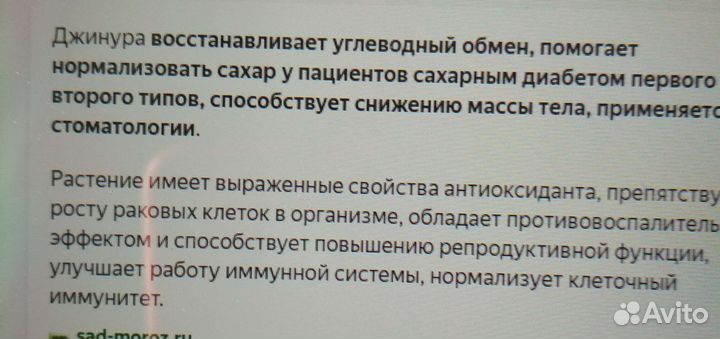 Джинура растение,для лечебных целей