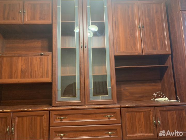 Скалапендра