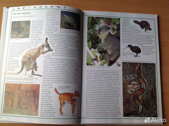 Чудеса природы, животный мир