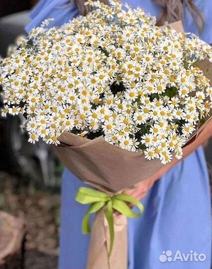 Букеты. Доставка ромашек