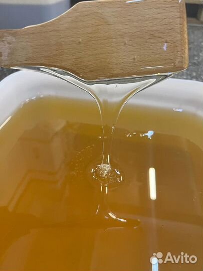 Натуральный мёд акациевый. 2023 г. Опт