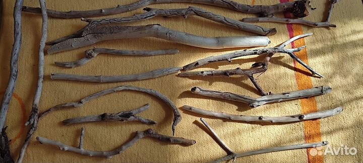 Дрифтвуд, набор для творчества. Крупный, 7