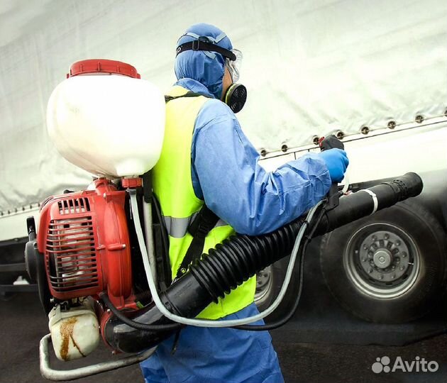 Уничтожение клопов, комаров, ос, кротов, мышей