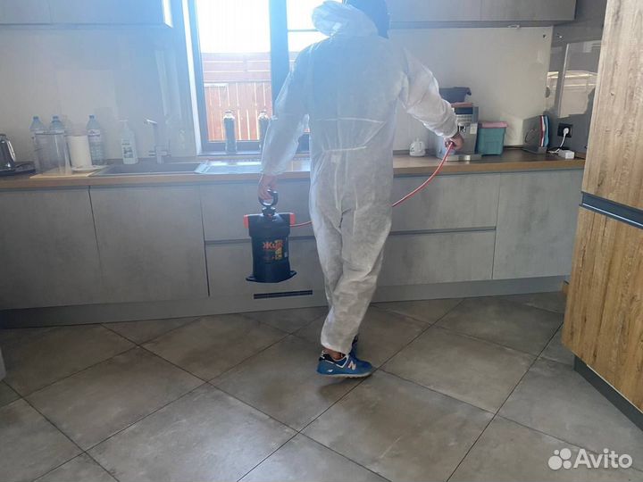 Уничтожение тараканов, клопов, клещей, мышей, блох