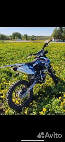 Bse z1