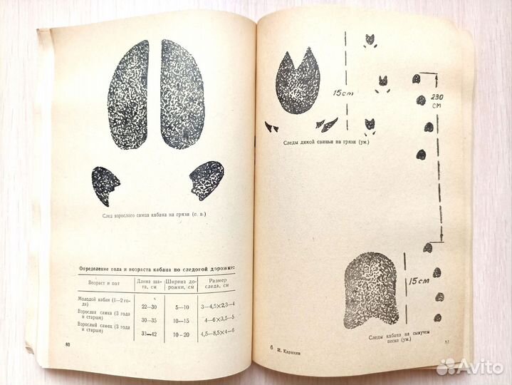 Следы птиц и животных Определитель И.Карякин
