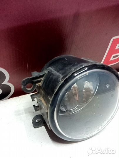Фара противотуманная Ford Focus
