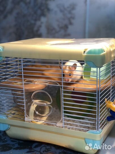 Передержка животных