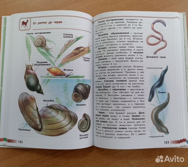 Атлас-определитель. Плешаков А. А