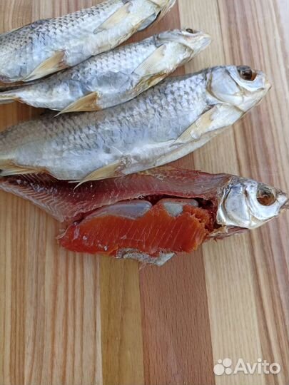 Вобла Каспийская