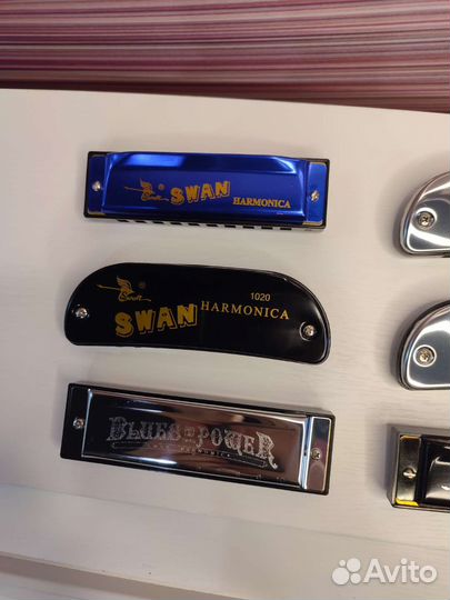 Губные гармошки в ассортименте