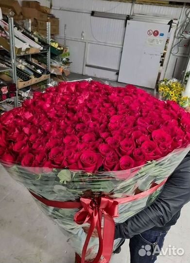 Высокие розы Гигантские розы Доставка цветов