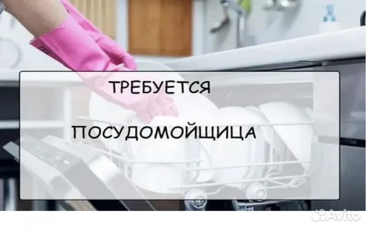 Посудомойщица с ежедневной оплатой