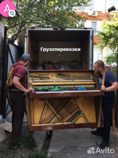 Грузоперевозки