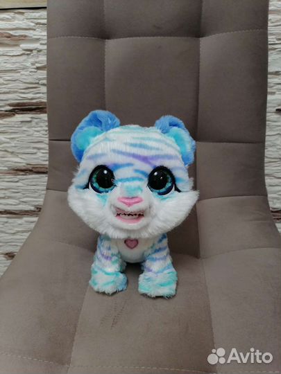 Соблезубый тигрёнок Норт