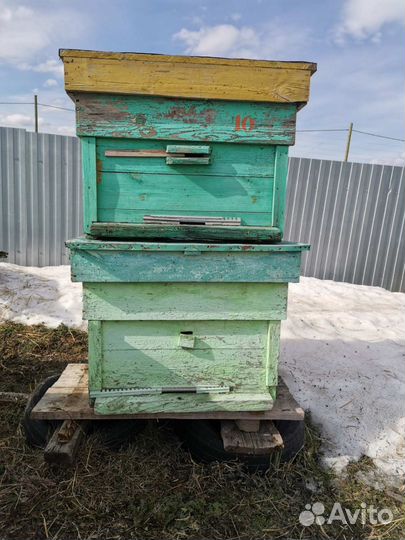 Улей для пчел бу