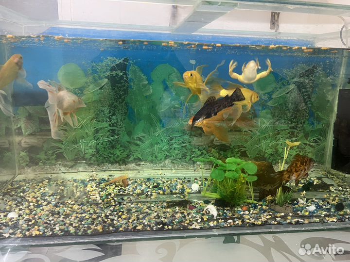 Украшение для аквариума