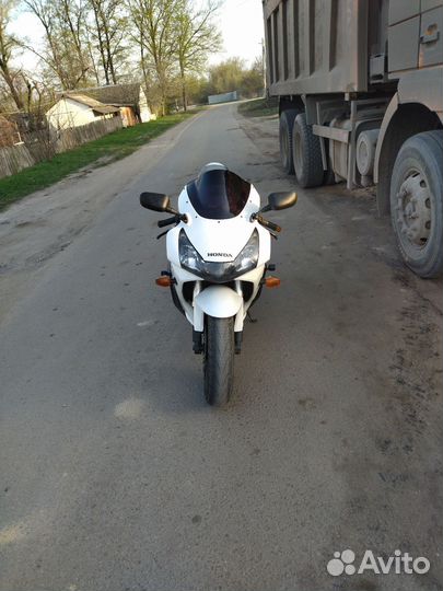 Honda cbr 954 rr