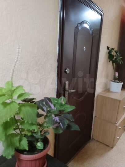 Комната 18,9 м² в 1-к., 2/2 эт.