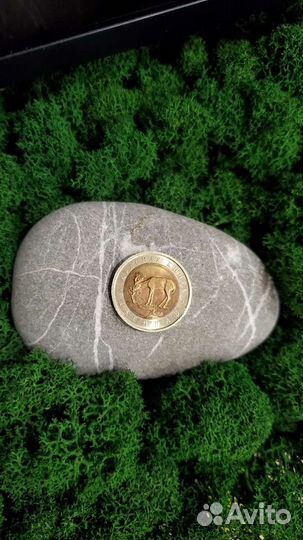 Монета из серии красная книга