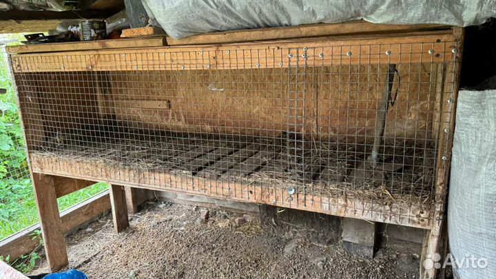 Клетки для кроликов