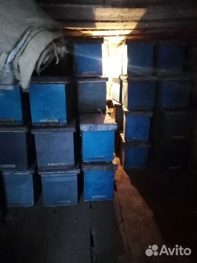 Ловушка для пчел на7-8 рамок