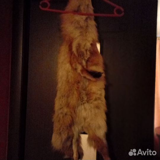 Лисья шкура