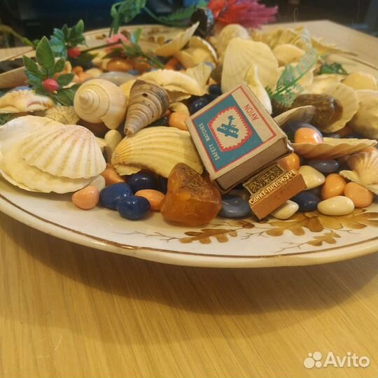 Ракушки камни растения грунт для аквариума