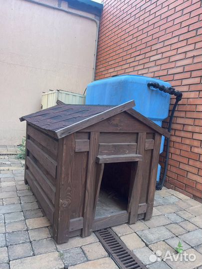 Собачья будка