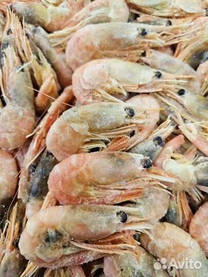 Креветка северная (Гренландия)