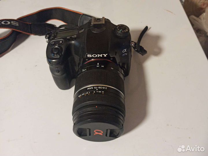 Sony A77 Mark II
