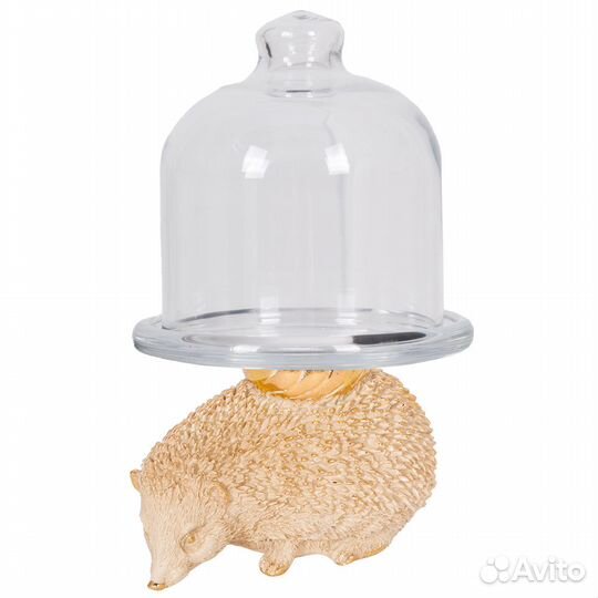 Лимонница Барб