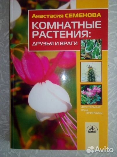 Анастасия Семенова