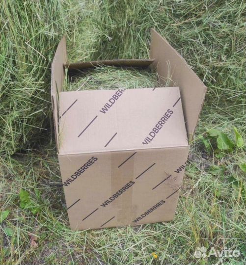 Сено луговое