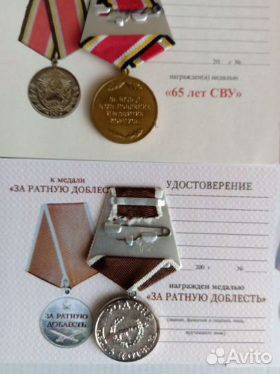 Знак за заслуги в образовании окончании нвму сву