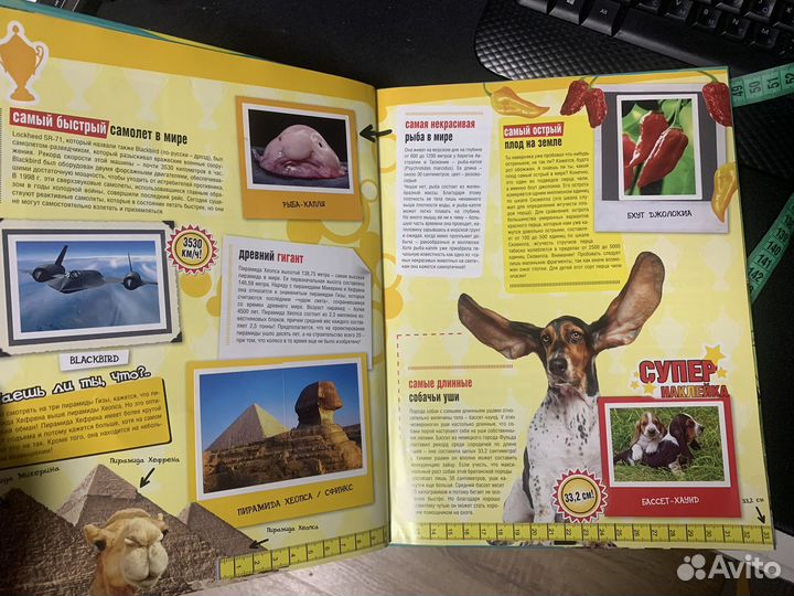 Книга обо всем в мире