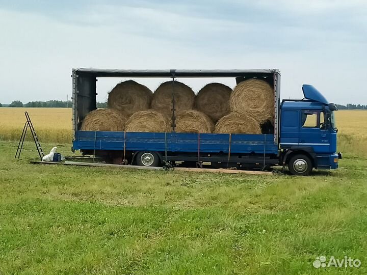 Сено люцерны в тюках