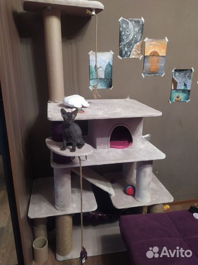 Домик для кошки с когтеточкой бу