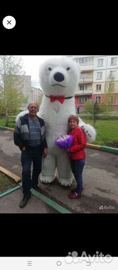 Поздравление белого медведя