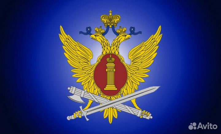 Младший инспектор Отдела Безопасности