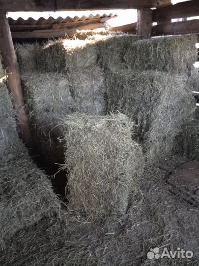 Сено солома