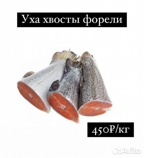 Свежайшая форель с доставкой