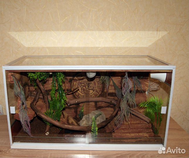 Террариум для эублефара