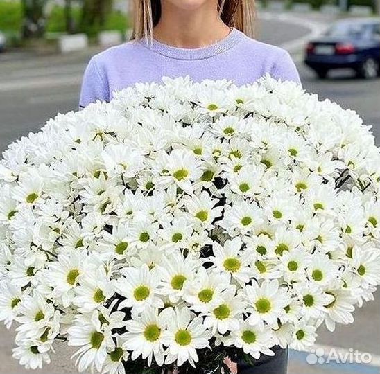 Хризантема Букеты доставка цветов