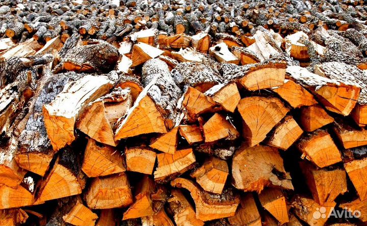 Дрова в ло