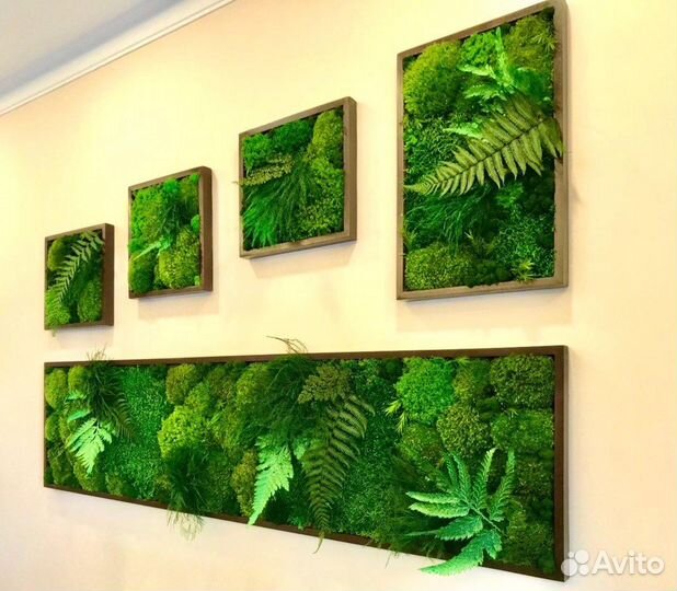 Мох стабилизированный.Озеленение.Декор.Фитостена